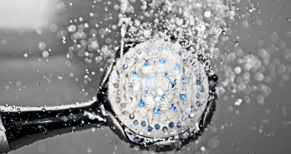 dodelijk Onverenigbaar eten Hoe maak je een regendouche schoon?